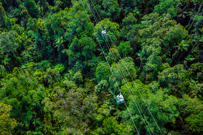 Skyrail Rainforest Cableway Aerial
