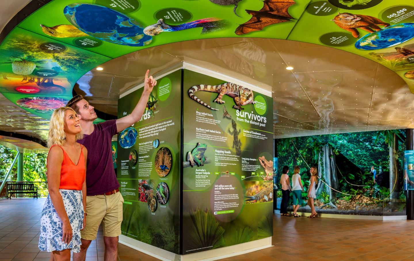 customers reading timeline at redpeak discover zone at skyrail rainforest cableway