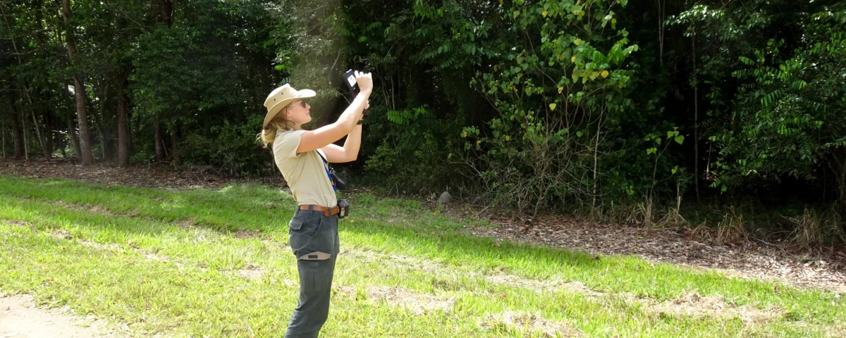 Lady standing in field using a handheld thermal camera to ground-truth the body temperatures of spectacled flying-foxes