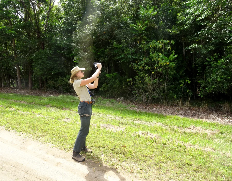 Lady standing in field using a handheld thermal camera to ground-truth the body temperatures of spectacled flying-foxes