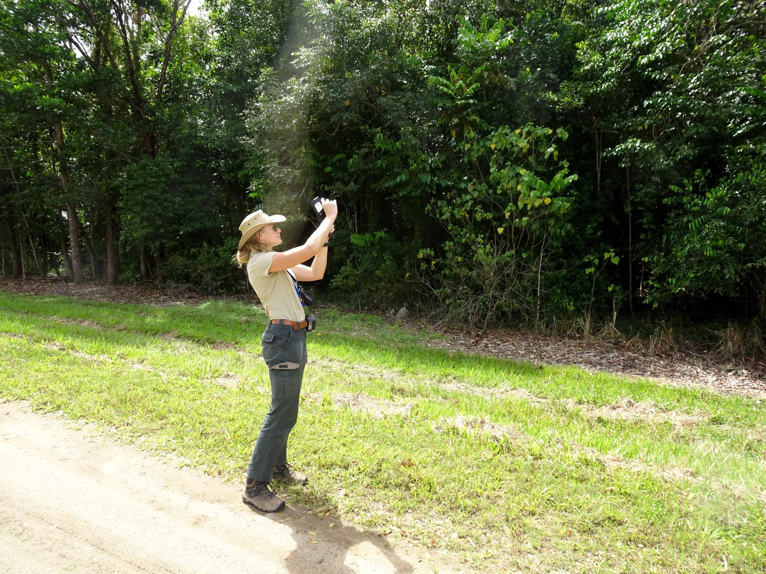 Lady standing in field using a handheld thermal camera to ground-truth the body temperatures of spectacled flying-foxes